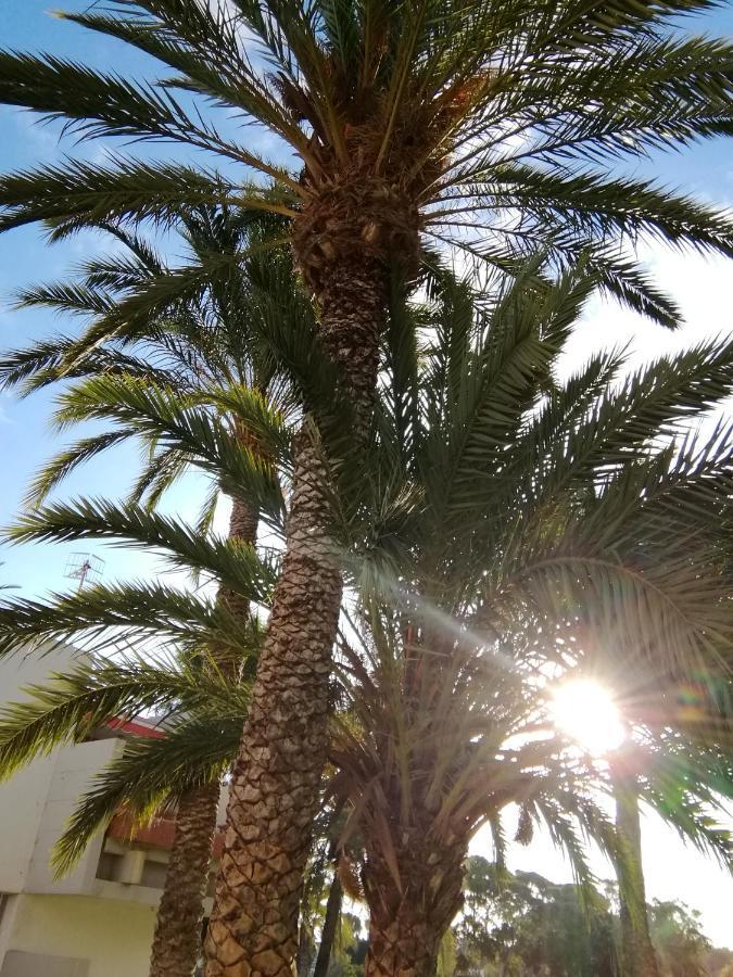 Cozy Apartment With Amazing Views To Garden Next To The Ocean Costa Del Silencio Εξωτερικό φωτογραφία